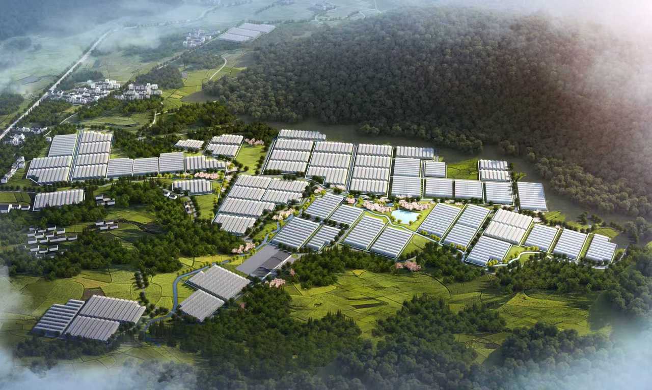 总投资1.7亿元！宁波“超级大菜园”二期项目正式开工