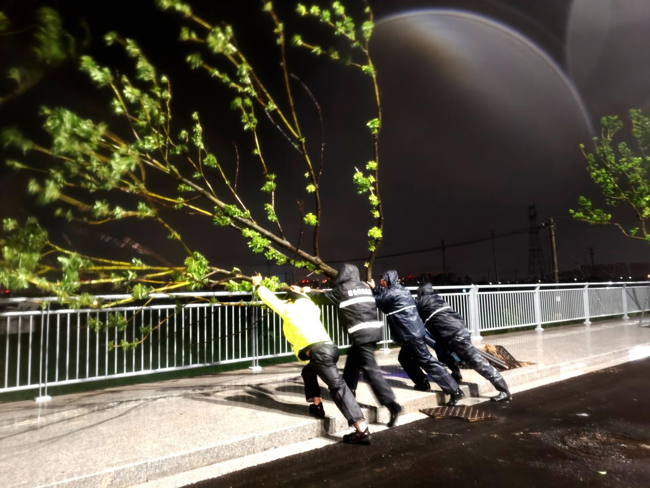 四代“执法蓝”风雨夜清障：倒下的树，伸出的手