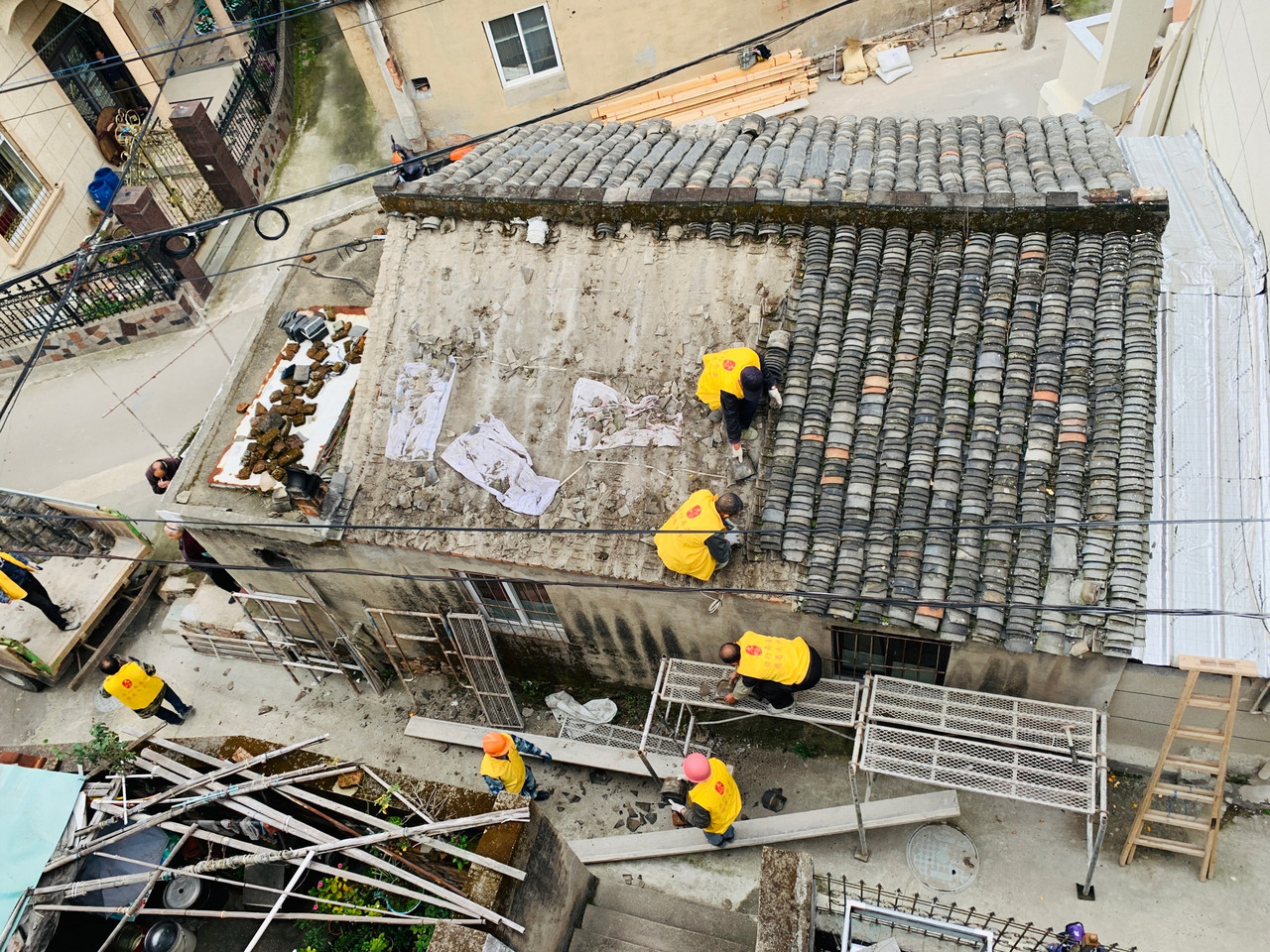 一只鸟、一间屋，带动一座城奔赴“志愿山海”